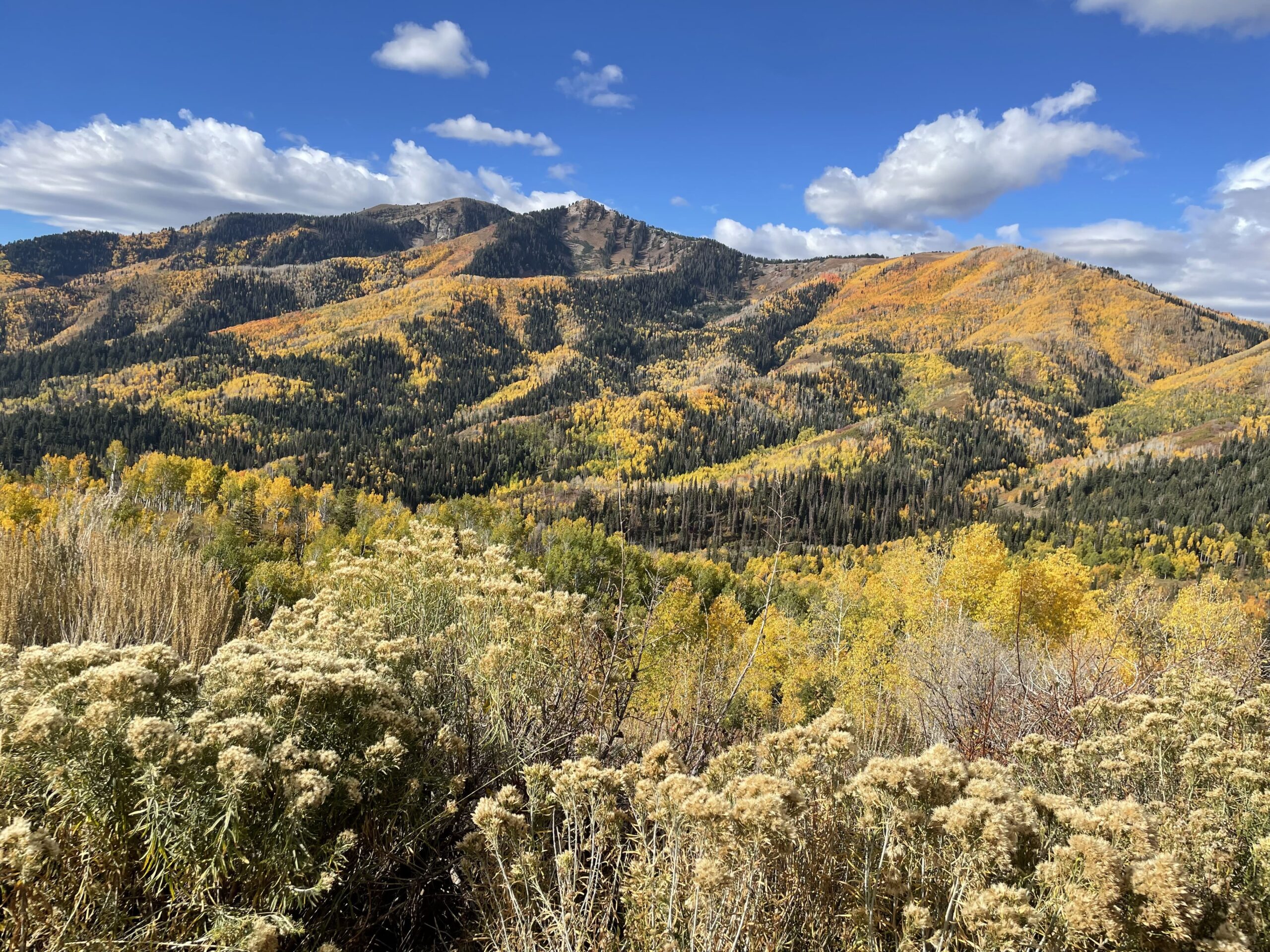 Park City Mountain Home